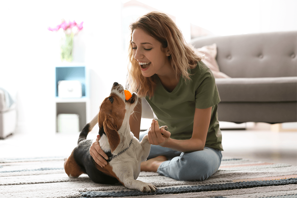 Woman playing with dog